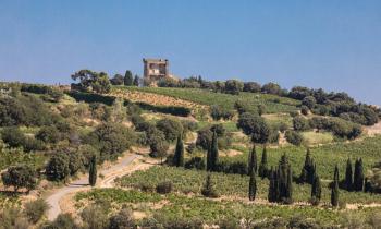 Vallée du Rhone Châteauneuf du Pape