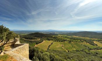 VINS-COTES-DU-RHONE-GARDOISES