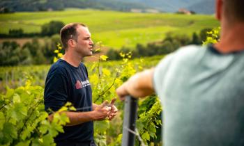 Domaine Frédéric Berne - Visite dans les vignes