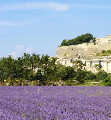 Lavender field and castle in Grignan, France