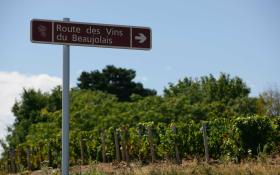Route des vins du Beaujolais