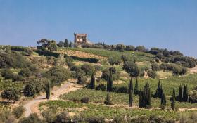 Vallée du Rhone Châteauneuf du Pape