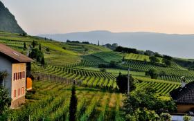 vignobles-vin-vallee-du-rhone