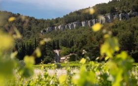  © Route des Vins de Provence