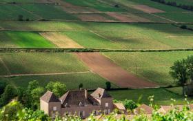 © Chateau de la Greffière