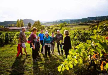 balade dans les vignes de Peylong