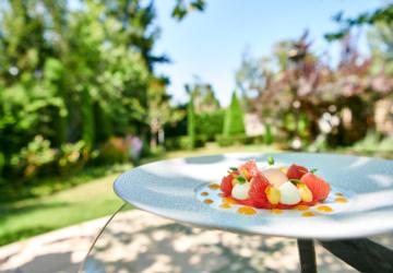 Jardin et dessert pamplemousse basilic