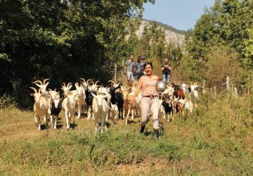 La Ferme du Clos