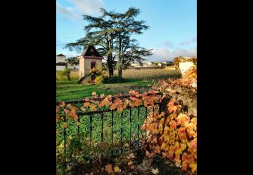 Château des Bachelards à Fleurie