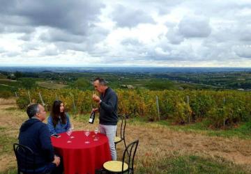 Vigneron d'un jour.. Vigneron toujours.. à la découverte du vignoble Beaujolais