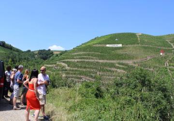Excursion dans le vignoble de la vallée du Rhône Nord