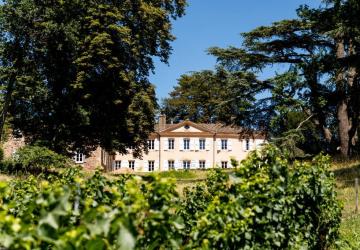 Château de Poncié - Fleurie