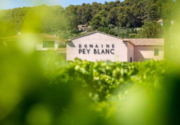 Domaine Pey Blanc