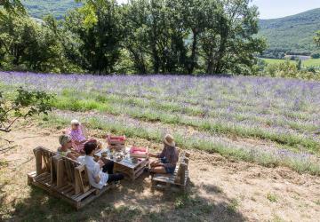 Pique-nique chic au coeur des lavandes - L'essentiel de lavande_La Bégude-de-Mazenc