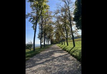 Visite sigature - Château de Lachassagne