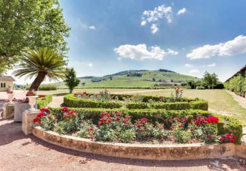 Visite oenotouristique gourmande au Château des Ravatys