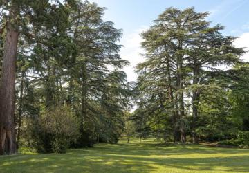 Visite oenotouristique gourmande au Château des Ravatys