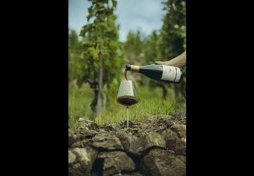 Verre dans les vignes