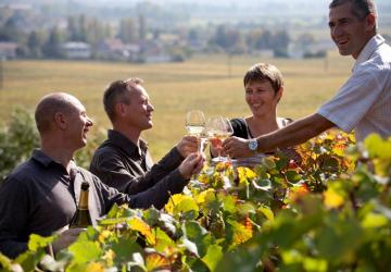 Ecole des Vins de Bourgogne dégustation dans les vignes