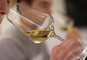 Sensation Vin - Sentir le vin blanc