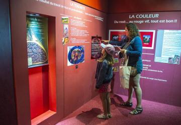 Maison du Charolais-Visite musee-CHAROLLES